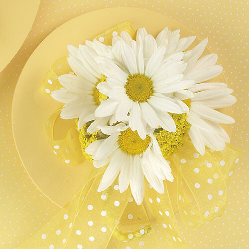 Daisy and Yarrow Corsage