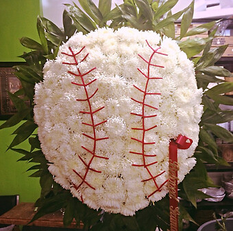 Baseball Tribute